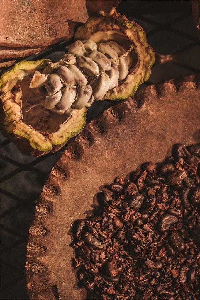 illustration Cérémonie du Cacao Sacré