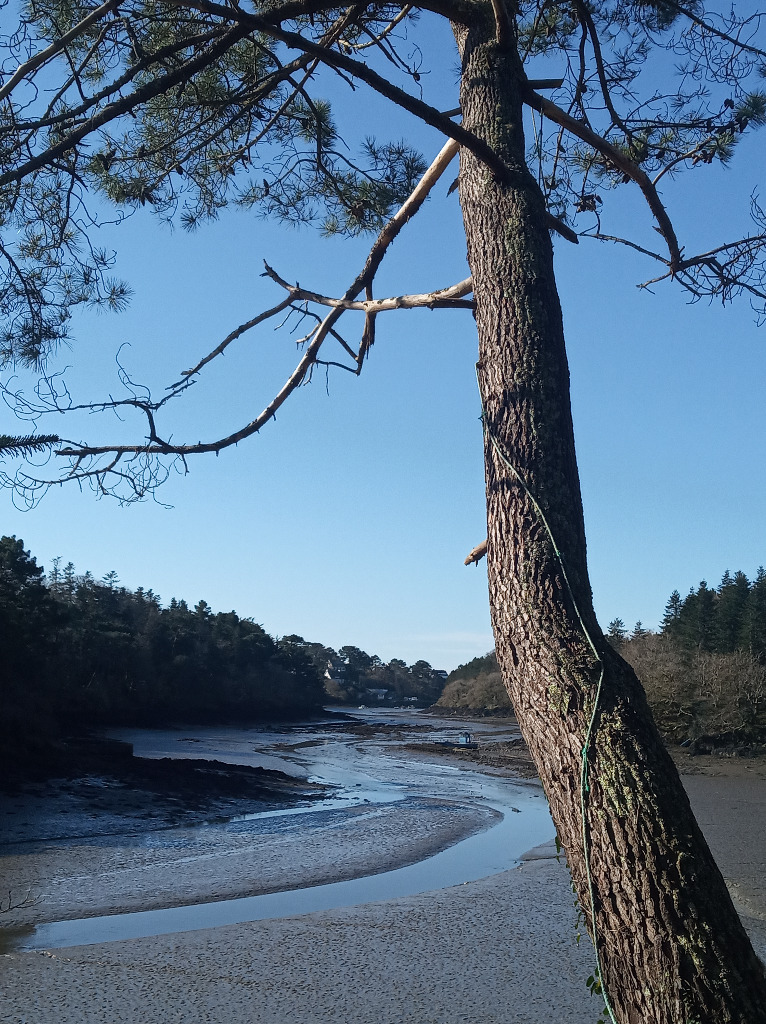 illustration Sophro-balade le jeudi 2 avril 2026