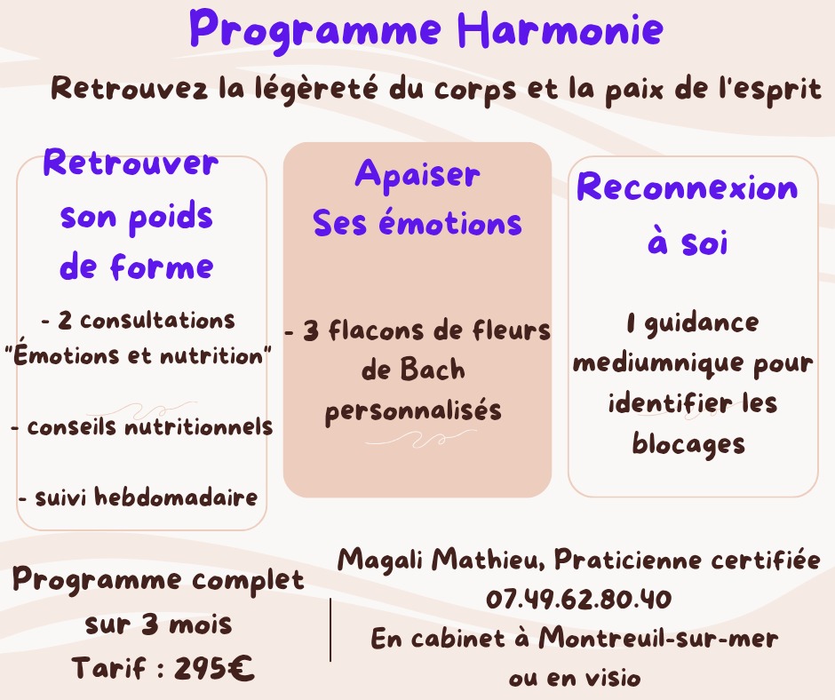 illustration Programme Harmonie : Émotions et nutrition
