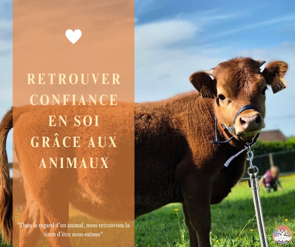 illustration Retrouver confiance en soi grâce aux animaux