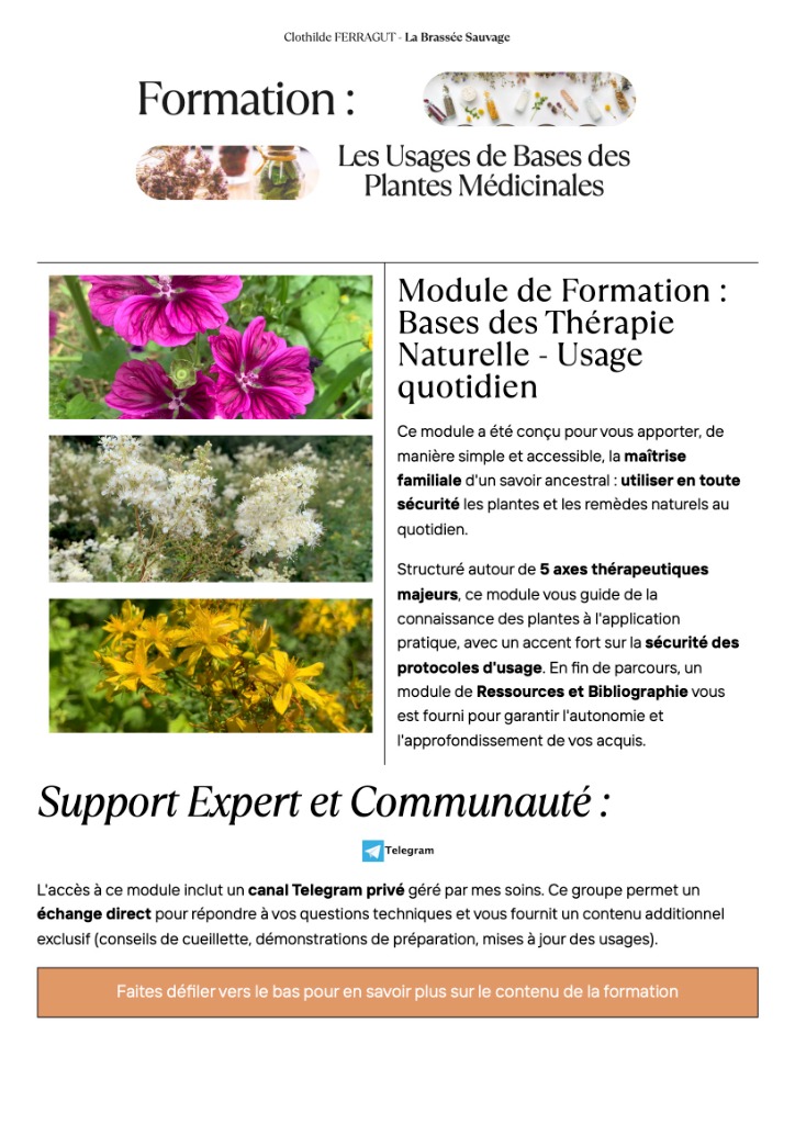 illustration Devenez Autonome en Santé Naturelle : Formation Complète en Herboristerie Familiale (EN LIGNE)
