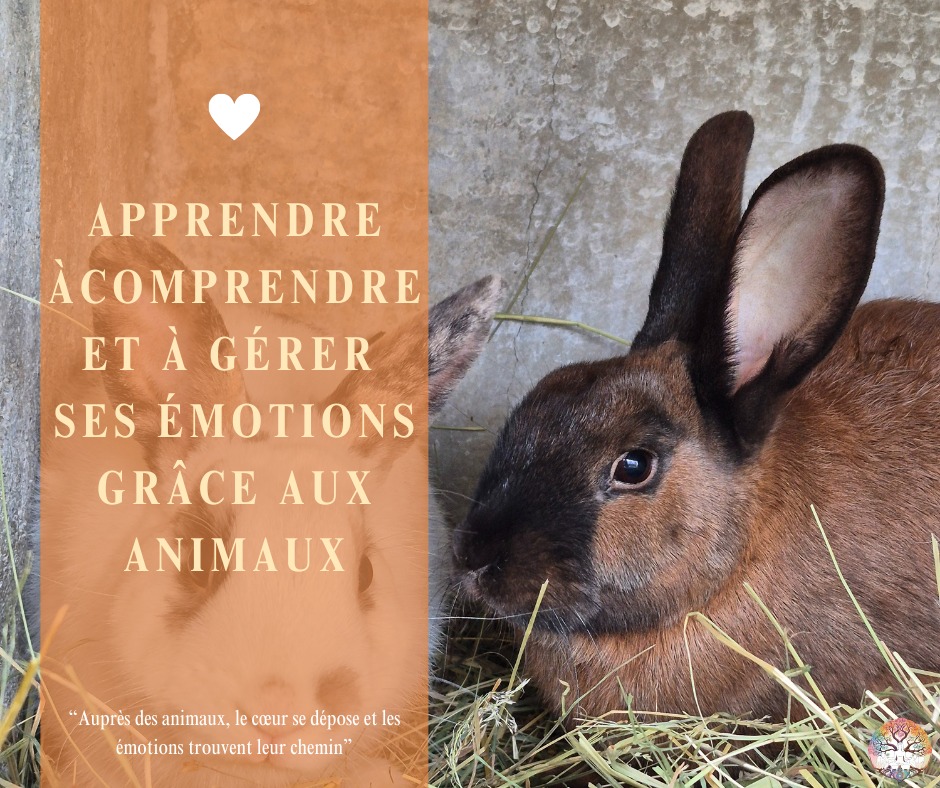 illustration Apprendre à comprendre et à gérer ses émotions grâce aux animaux