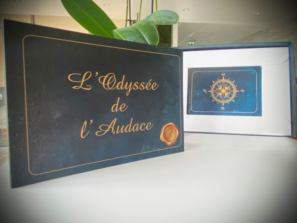 illustration L'Odyssée de l'Audace, l'a boussole de votre voyage intérieur...