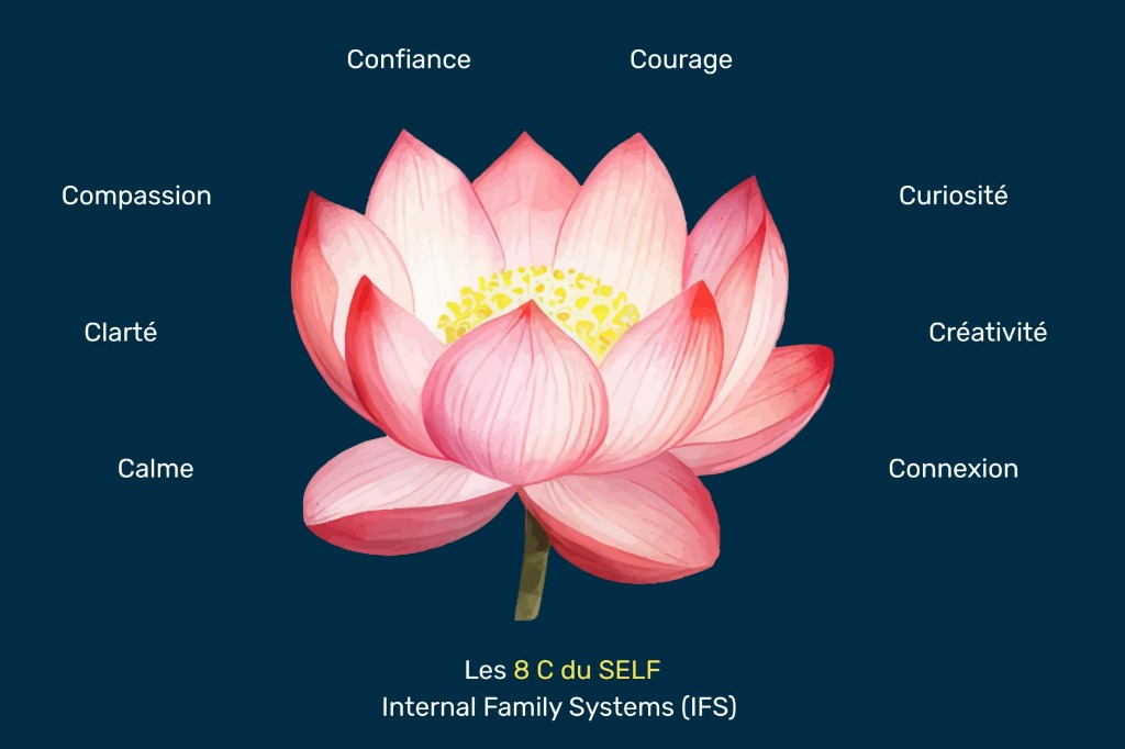 illustration Les 8 C du SELF : le guide essentiel pour retrouver calme clarté confiance