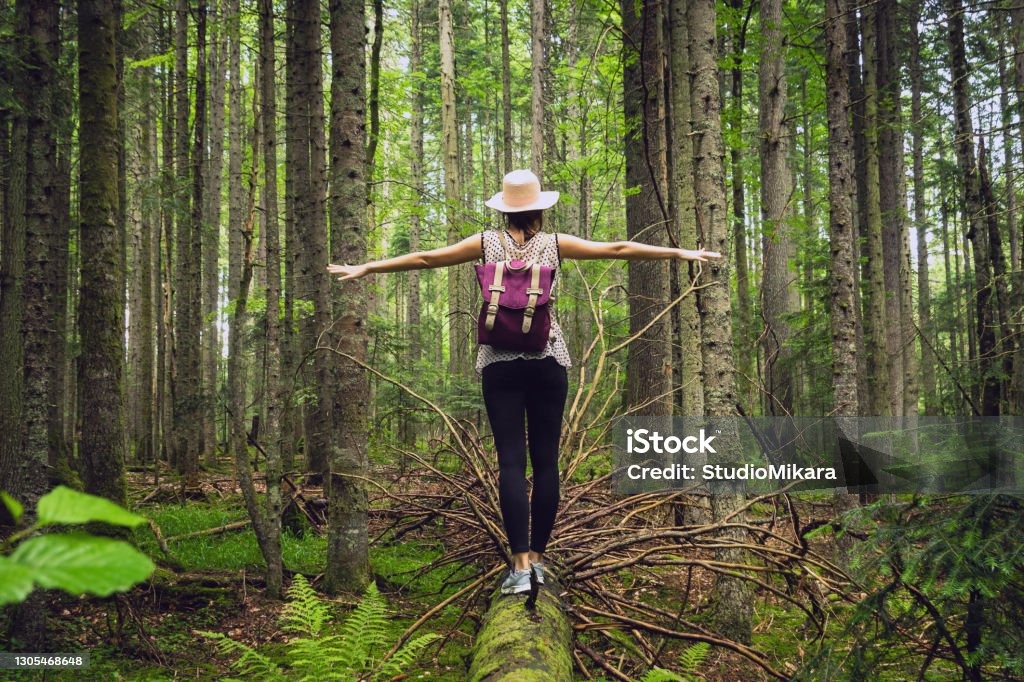 illustration La santé de l'esprit est essentielle pour vivre une vie équilibré.