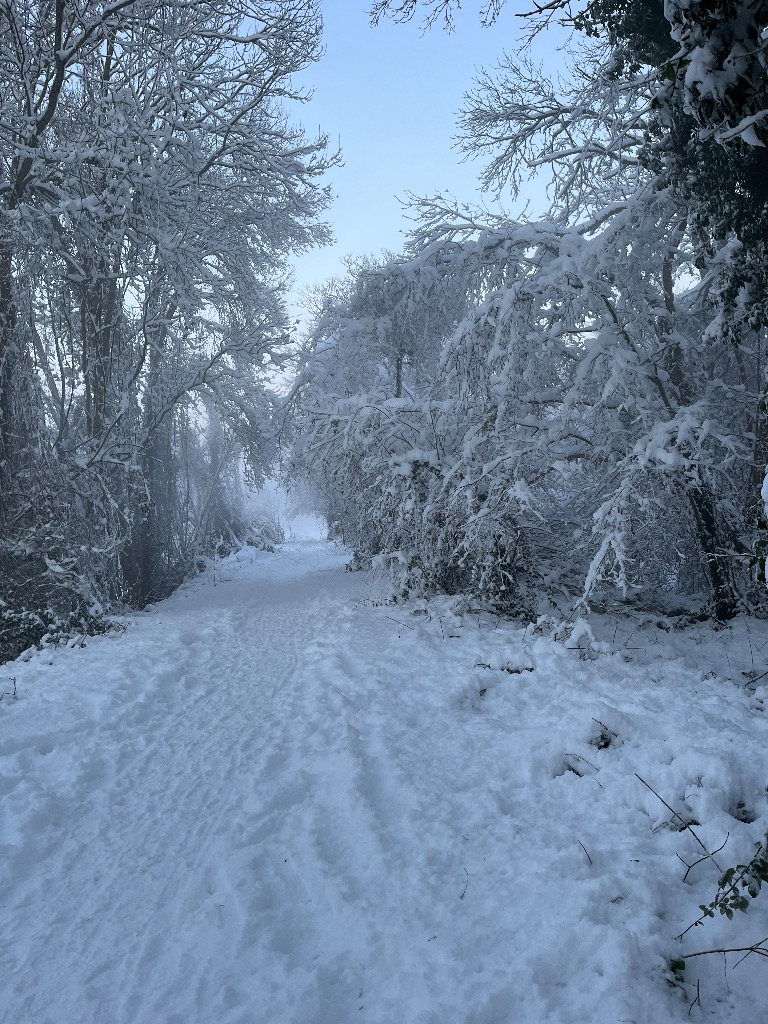illustration Les énergies de l’hiver ❄️