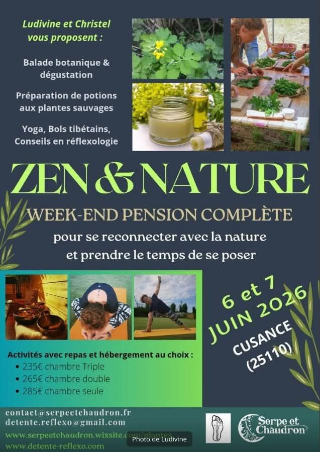 illustration Zen & Nature 2