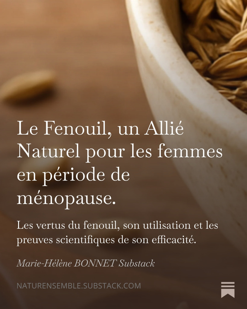 illustration Phytothérapie pour les femmes en pré-ménopauses ou avec des désordres hormonaux