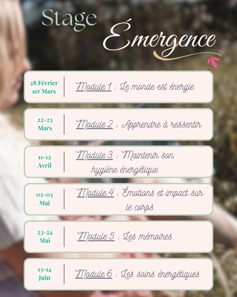 illustration Émergence sur 4 mois