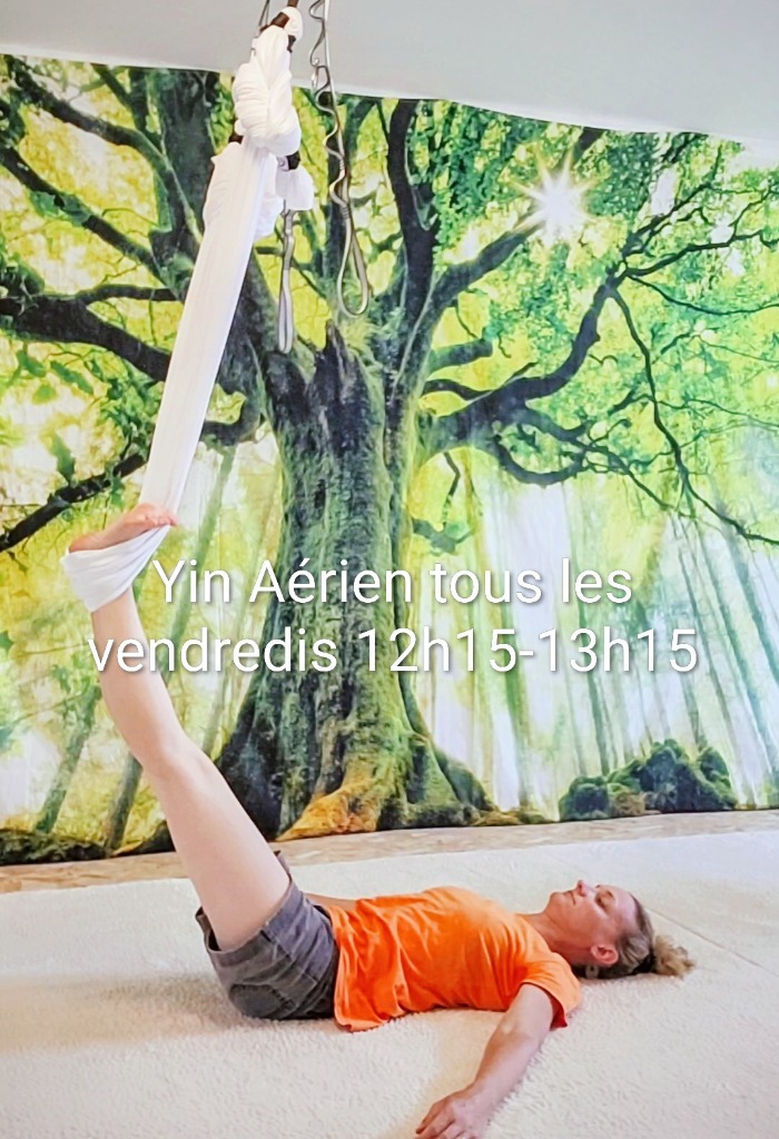 illustration Cours de Yin Aérien