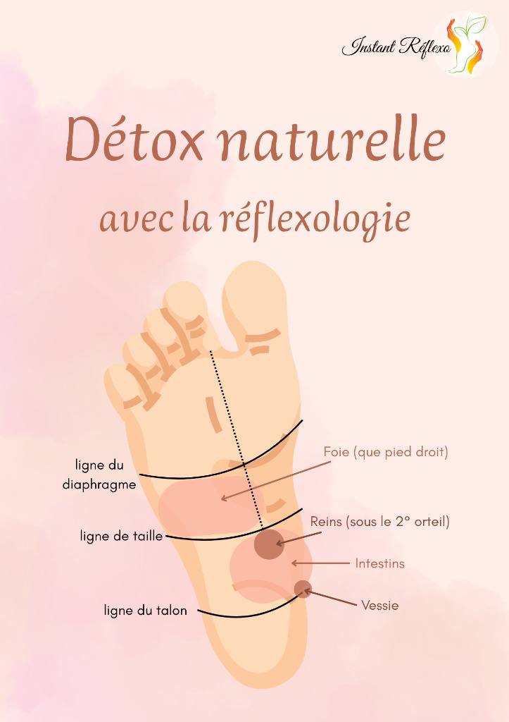 illustration 🌿 Détox naturelle avec la réflexologie 🌿