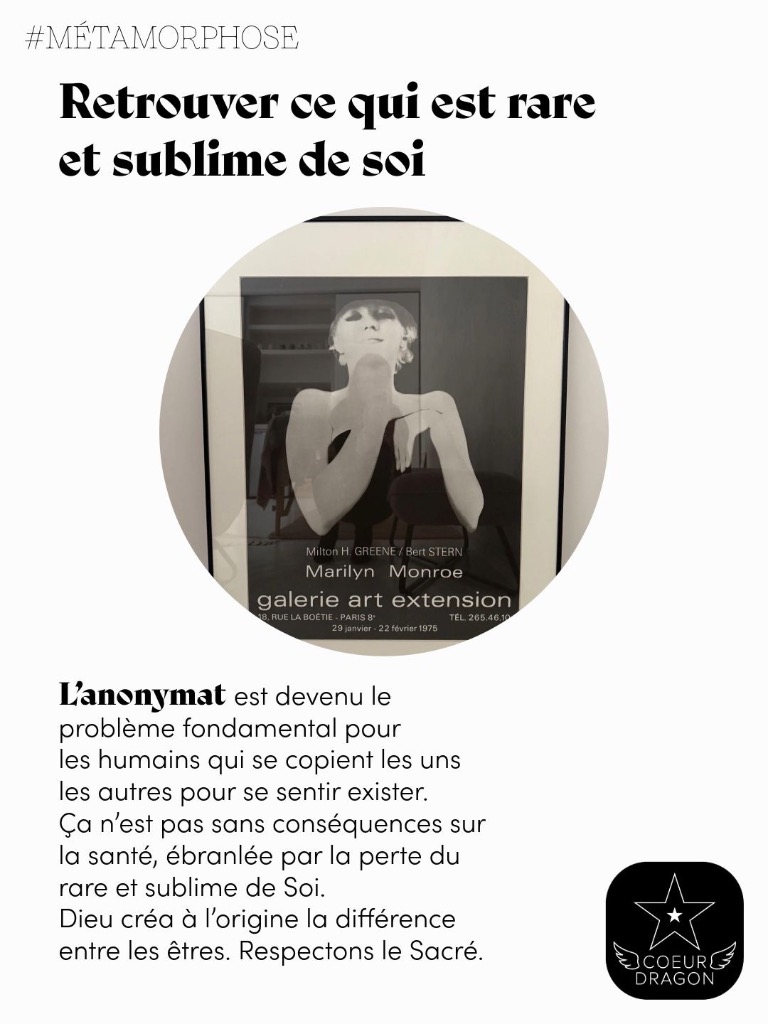 illustration Retrouver ce qui est rare et sublime de Soi