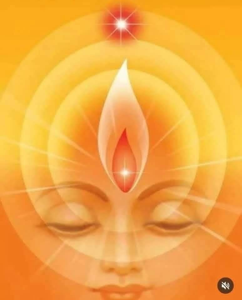 illustration THÉRAPEUTE HOLISTIQUE - ÉNERGÉTICIEN  ou EN QUÊTE DE SOI !