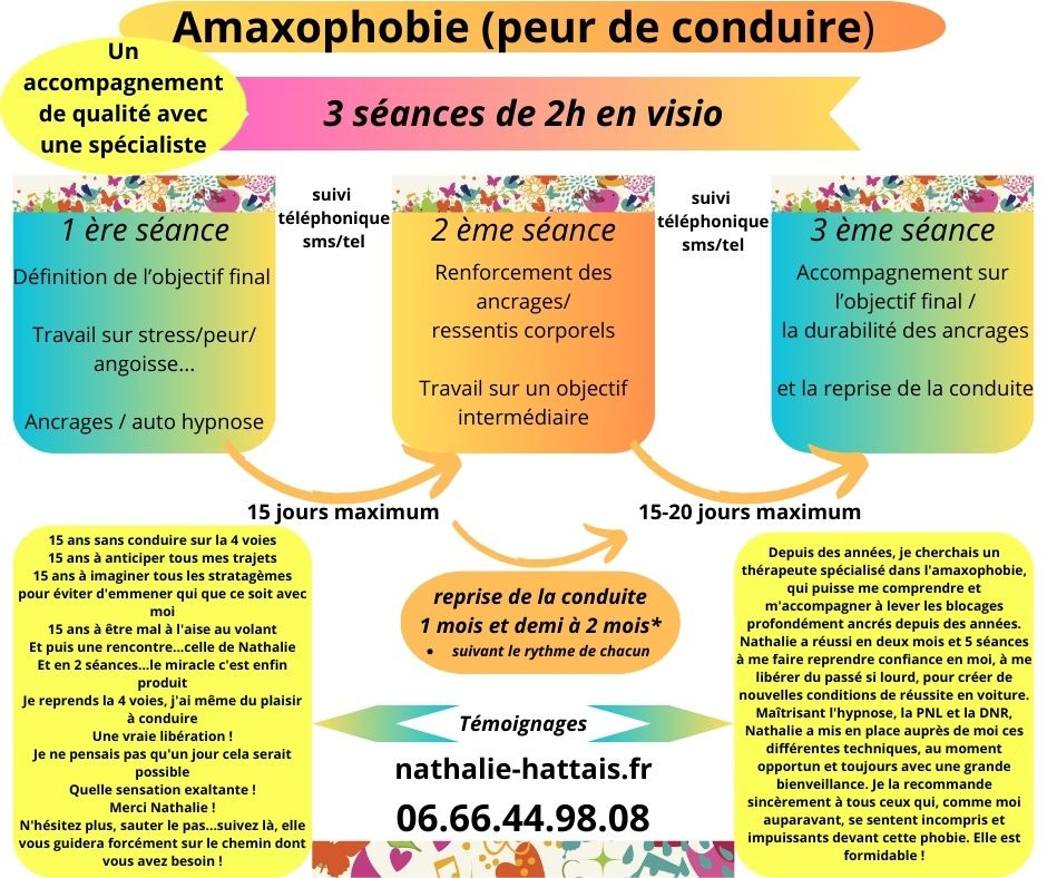 illustration l'amaxophobie et la visio?