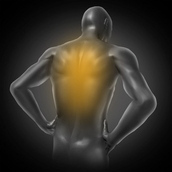 illustration La dorsalgie