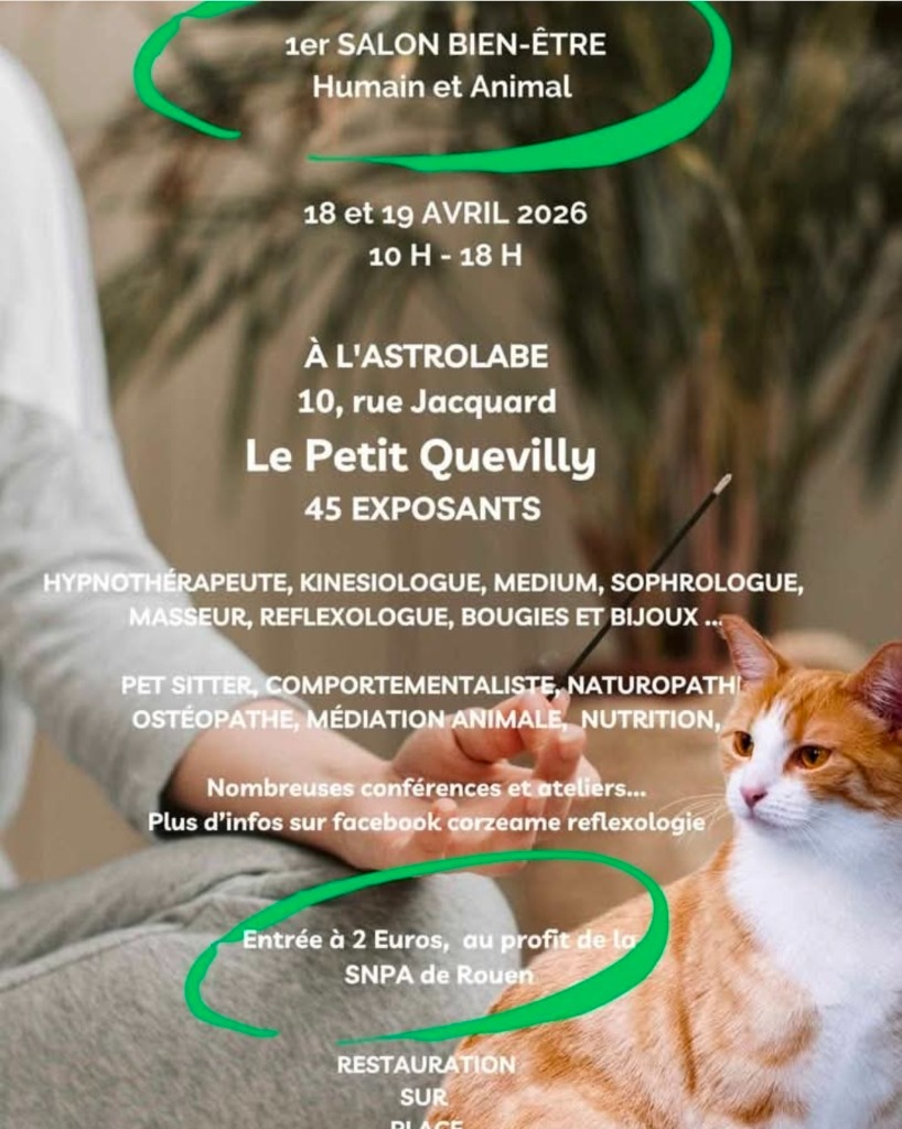 illustration ✨1er Salon Bien-être Humain et Animalier 😺🧑🐶✨