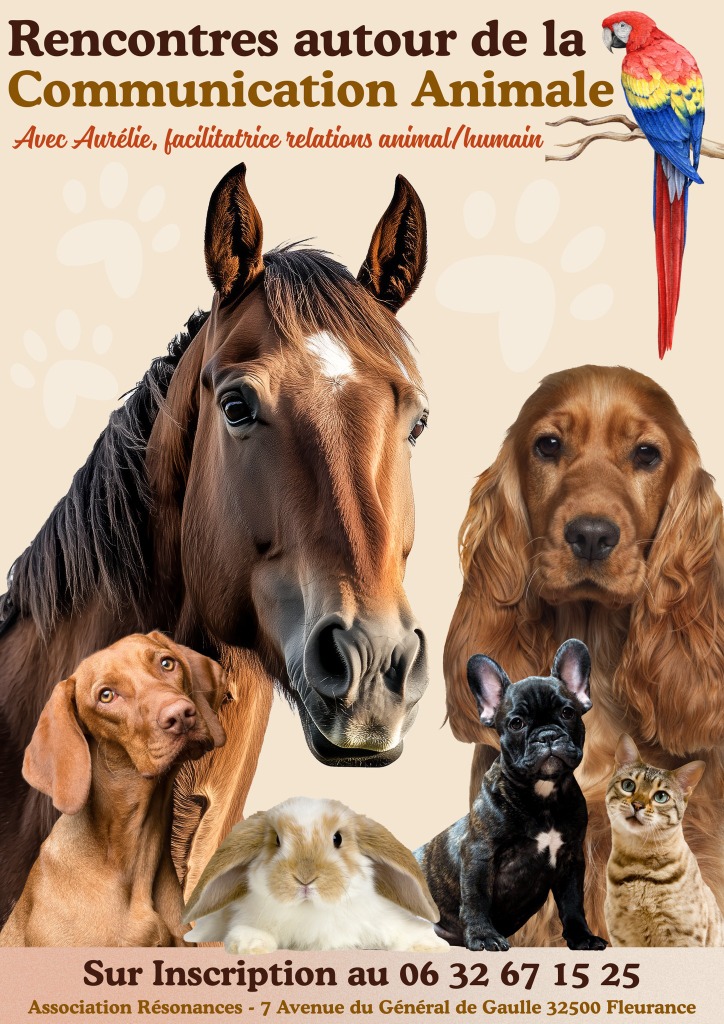 illustration Rencontres autour de la communication animale