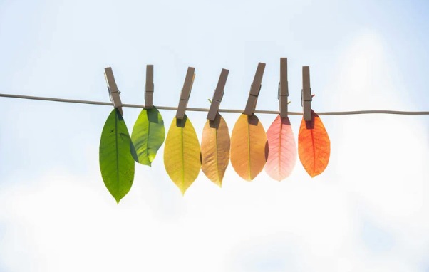 illustration Accompagnement au changement