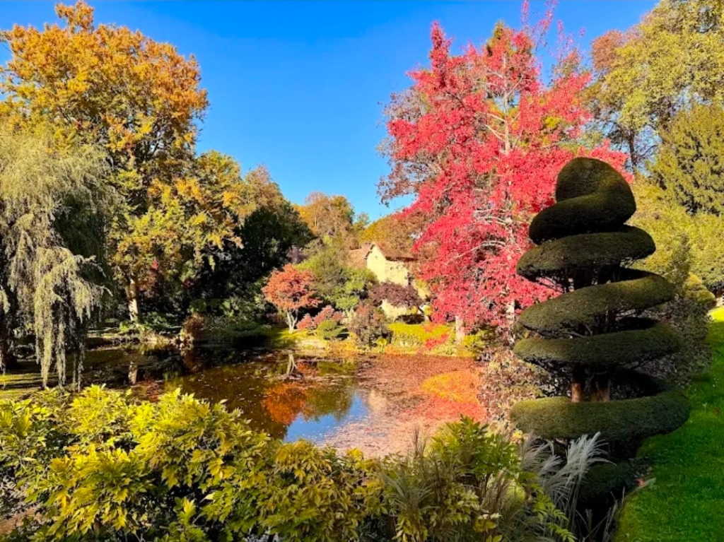 illustration ☘️ Initiation au Reiki 18 & 19 avril : un week-end pour apprendre les bases