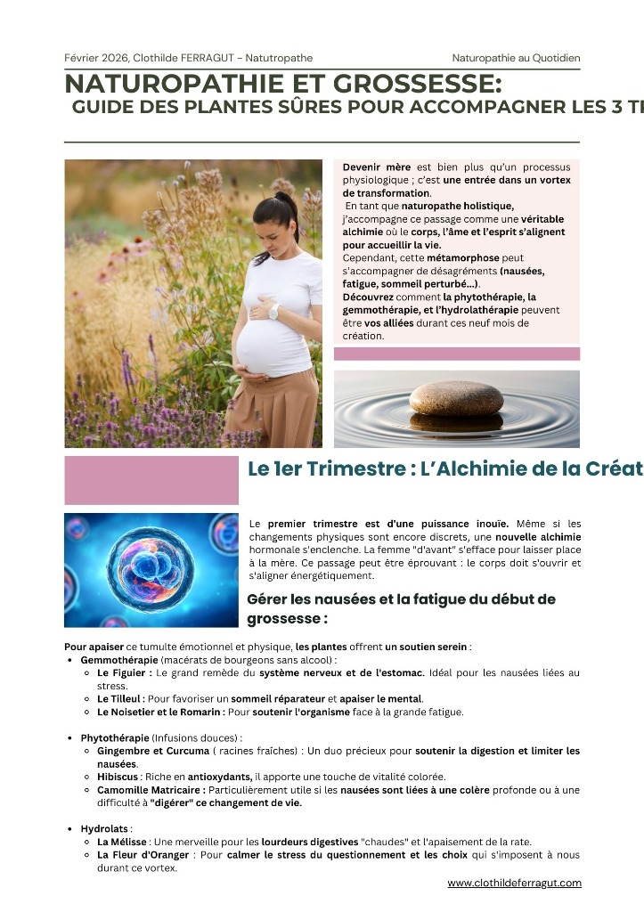 illustration Naturopathie & Grossesse : Le guide des plantes pour les 3 trimestres 🌿
