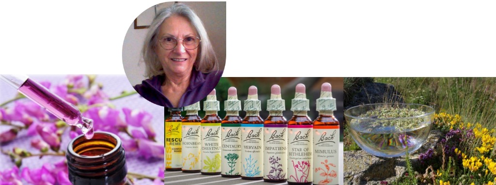 illustration Formation de Conseiller.re en FLEURS DE BACH