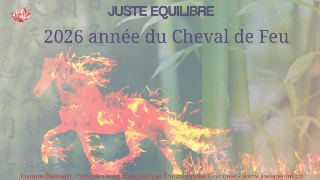 illustration 2026 nouvelle année chinoise du Cheval de Feu