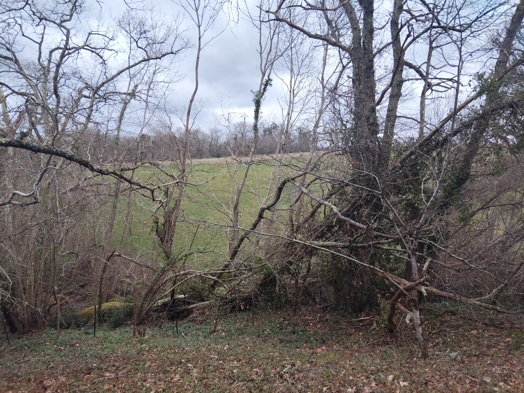 illustration Le vent : Une donnée essentielle en géobiologie