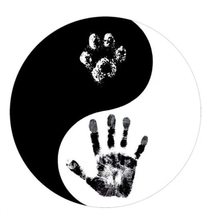 illustration Communication Animale et Soins Énergétiques Reiki