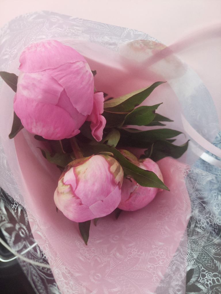 illustration Naturopathie & Equilibre Hormonal