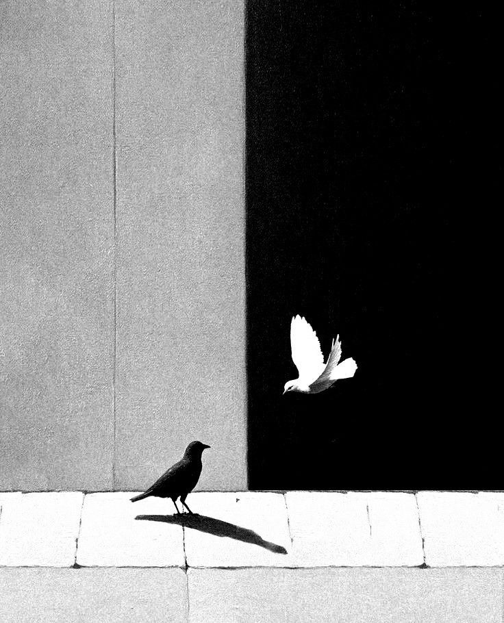 illustration SATSANG Alors on s’aime !