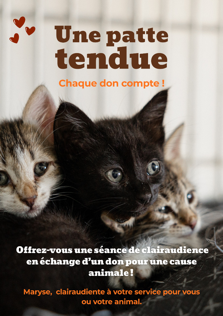 illustration Offrez-vous une séance de clairaudience en échange d’un don pour une cause animale !