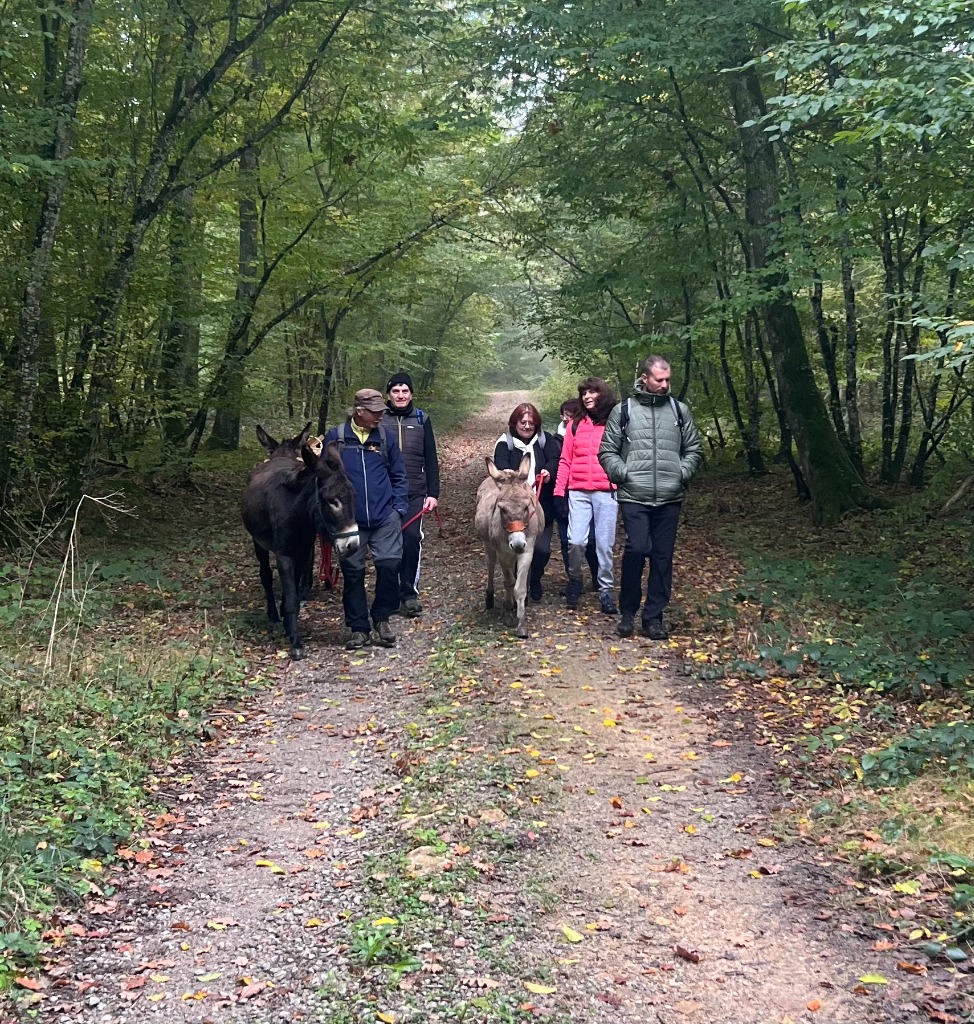 illustration Balades botaniques