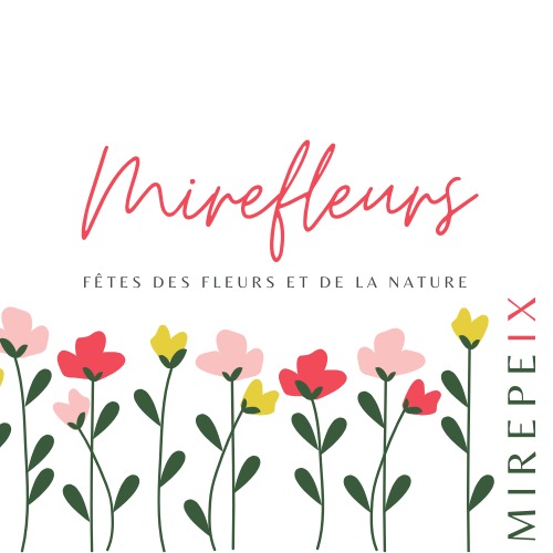 illustration Marché de Mirefleurs