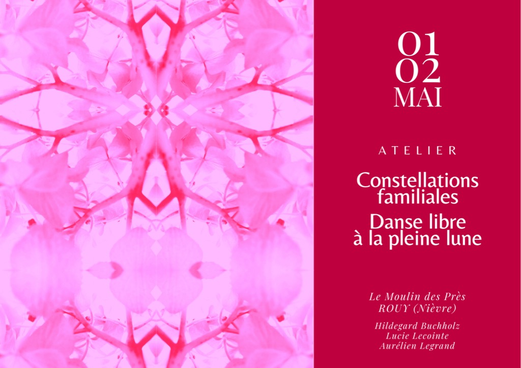 illustration Constellations familiales et systémiques