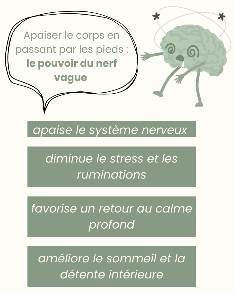 illustration Pourquoi travailler le nerf vague en réflexologie ?