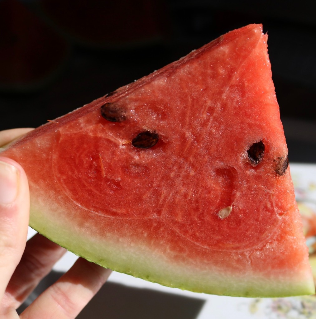 illustration Pourquoi compter ses calories ne sert à rien ?