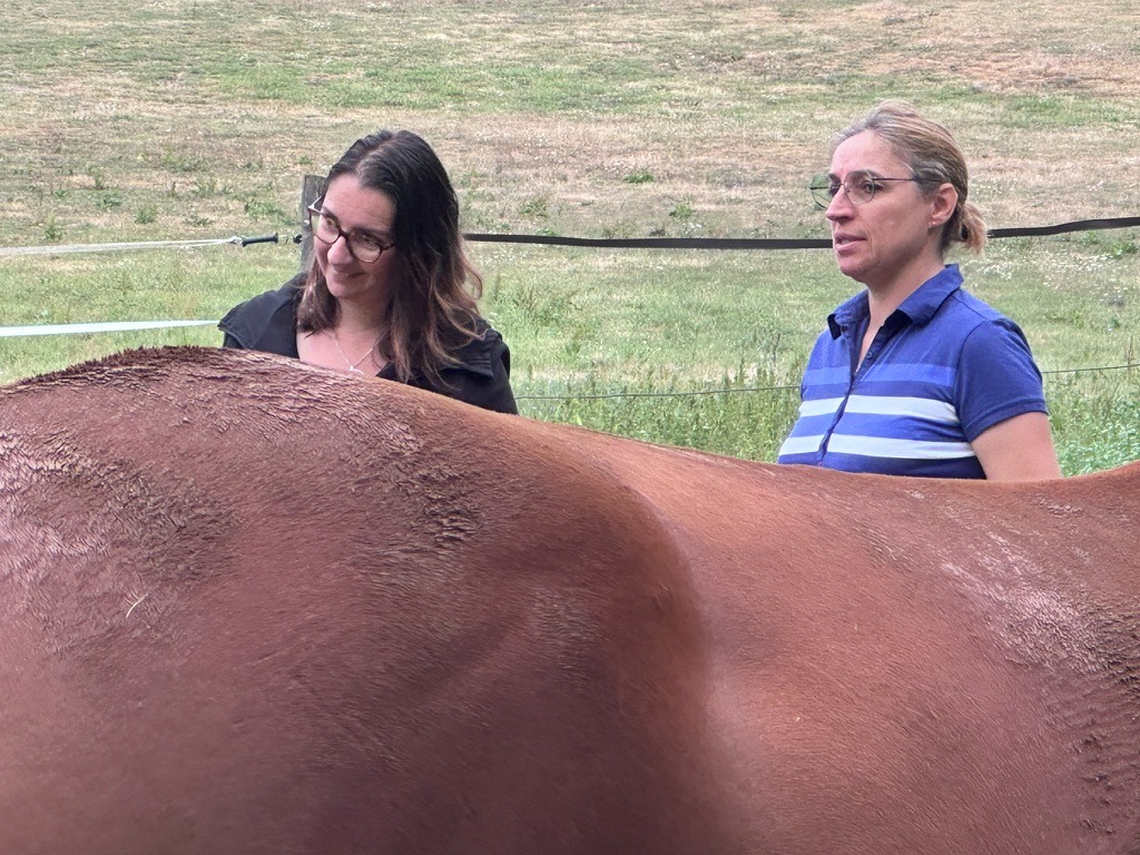 illustration Découverte atelier Mamans Actives