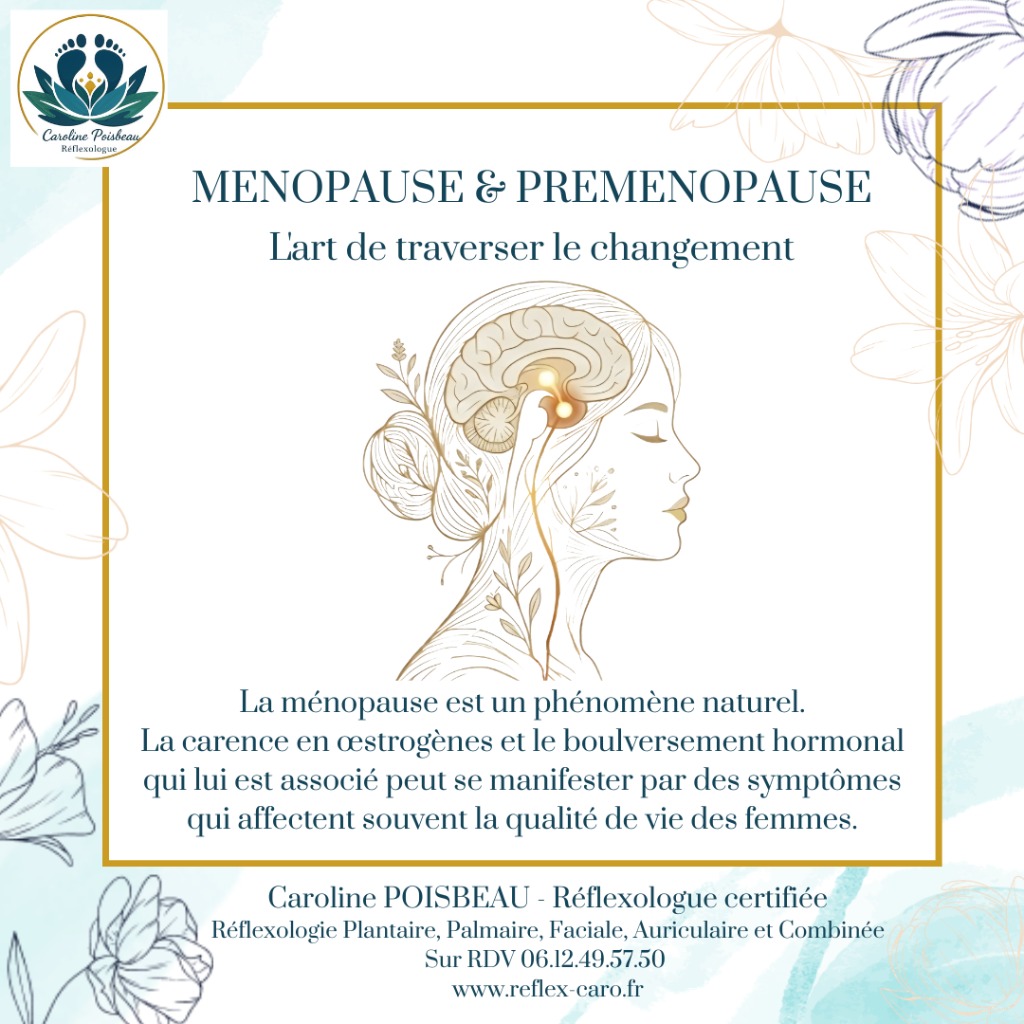 illustration MÉNOPAUSE ET PÉRIMÉNOPAUSE Comprendre et accompagner sa féminité.💫