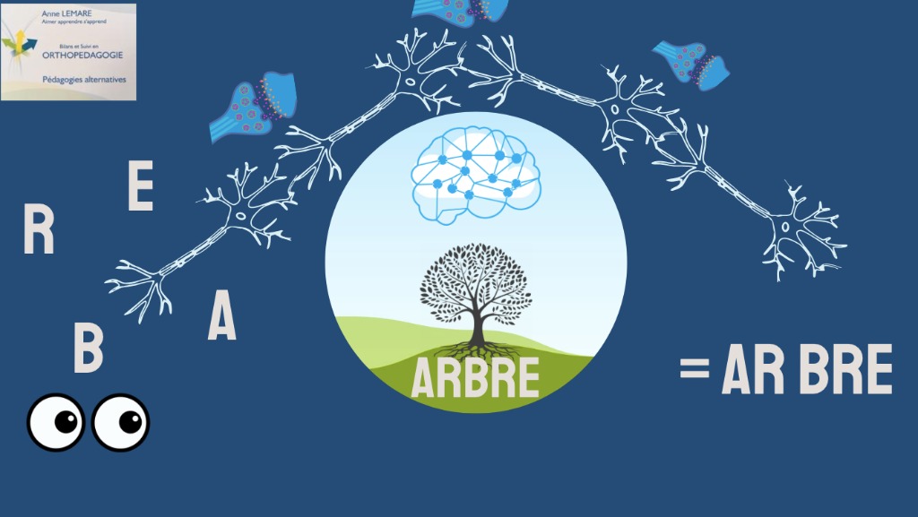 illustration ACCOMPAGNEMENTS SPECIFIQUES