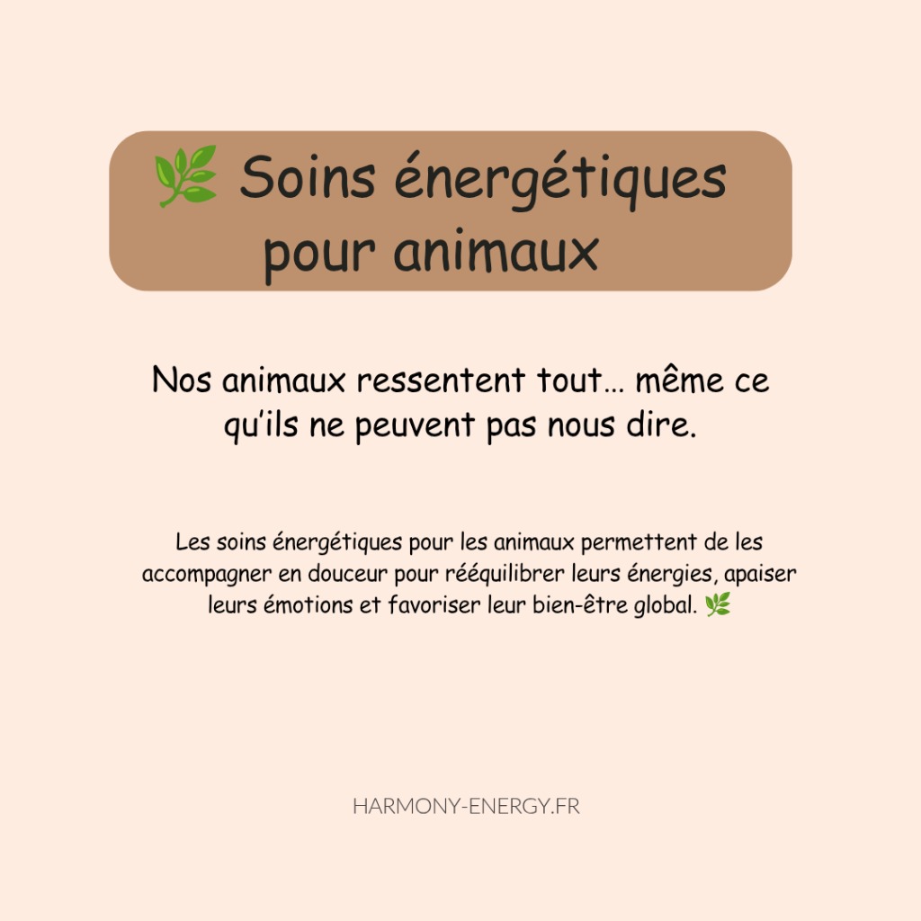 illustration Soin pour animaux