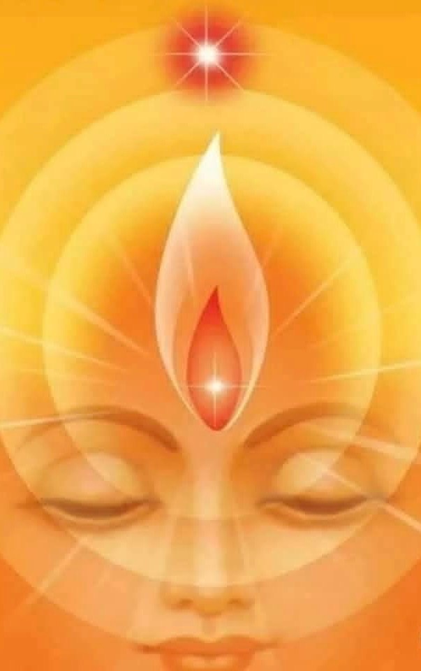 illustration 📣 DEVENIR THÉRAPEUTE HOLISTIQUE - ÉNERGÉTICIEN en présentiel à SALON de PROVENCE sur 6 mois !