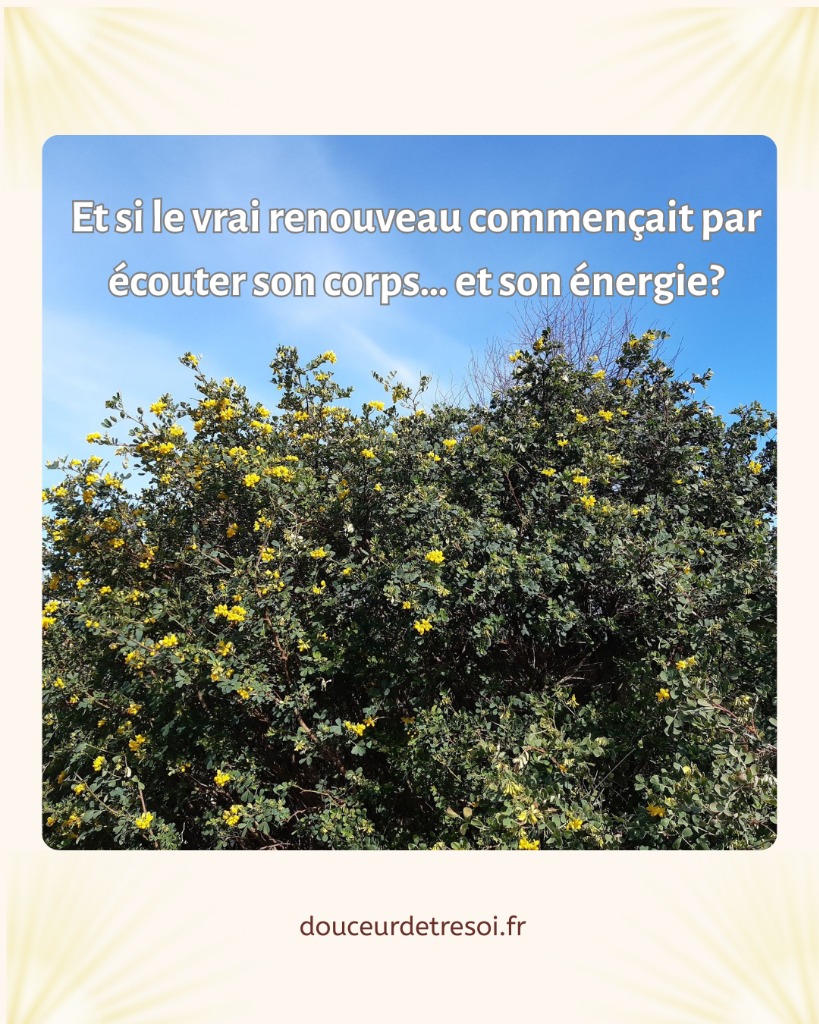 illustration Et si le vrai renouveau commençait par écouter son corps ... et l'énergie?