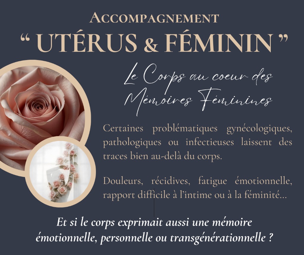 illustration Accompagnement "Utérus & Fémininé