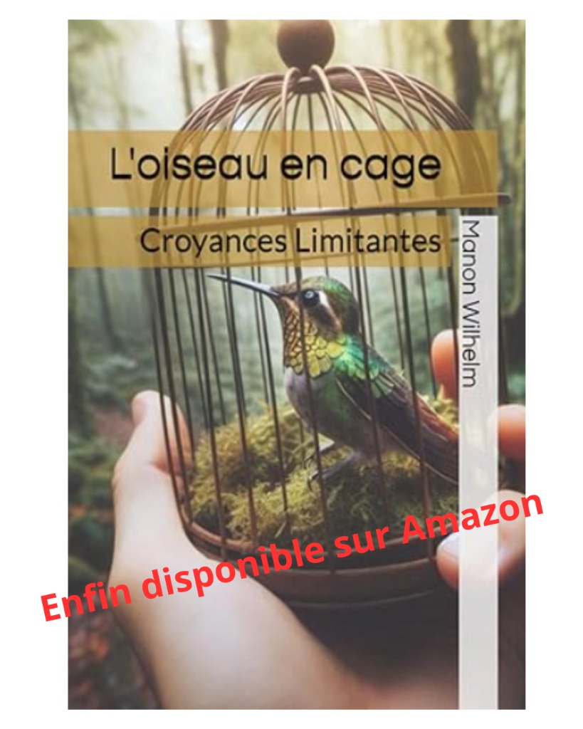 illustration Croyances Limitantes