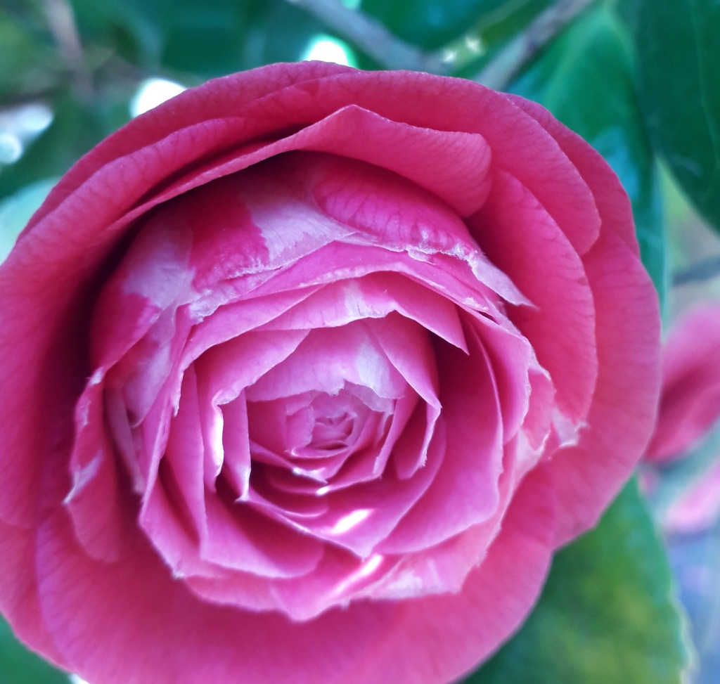 illustration Être au diapason du mois de mars