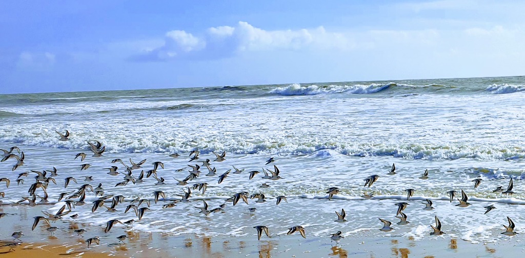 illustration Peur du conflit au travail : pourquoi l’éviter aggrave souvent la situation