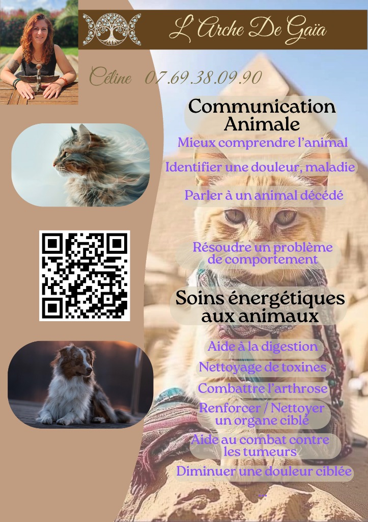 illustration Prenez soins de vos animaux