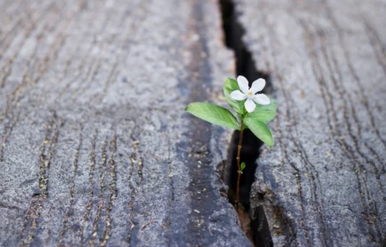 illustration Pourquoi certaines personnes hésitent longtemps avant de consulter ?