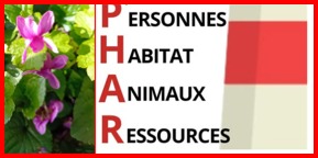 illustration SALON PHARE LE DIMANCHE 19 AVRIL 2026 TIGNIEU-Jameyzieu (changement de Nom mais pas de Lieu)