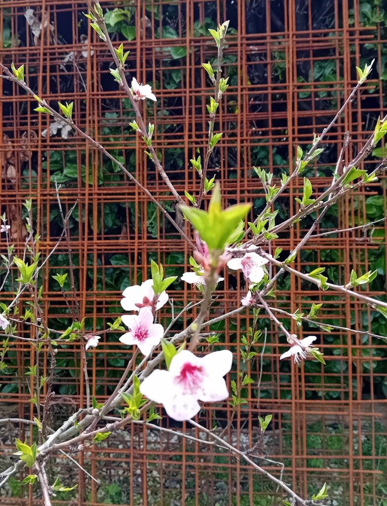 illustration PRENDRE RDV UN SAMEDI  EN AVRIL